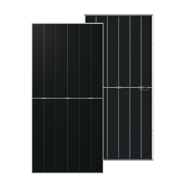 [145650] DMEGC Solar DM650G12RT-B66HSW 650 W